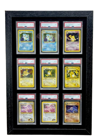 3 pokemon card frame Triple Display Serperior & Emboar & Samurott Evolutionary Path - Pokmon Game | Authentic Japanese Pokmon TCG Frame 9 PSA Pokemon Card Frame-New