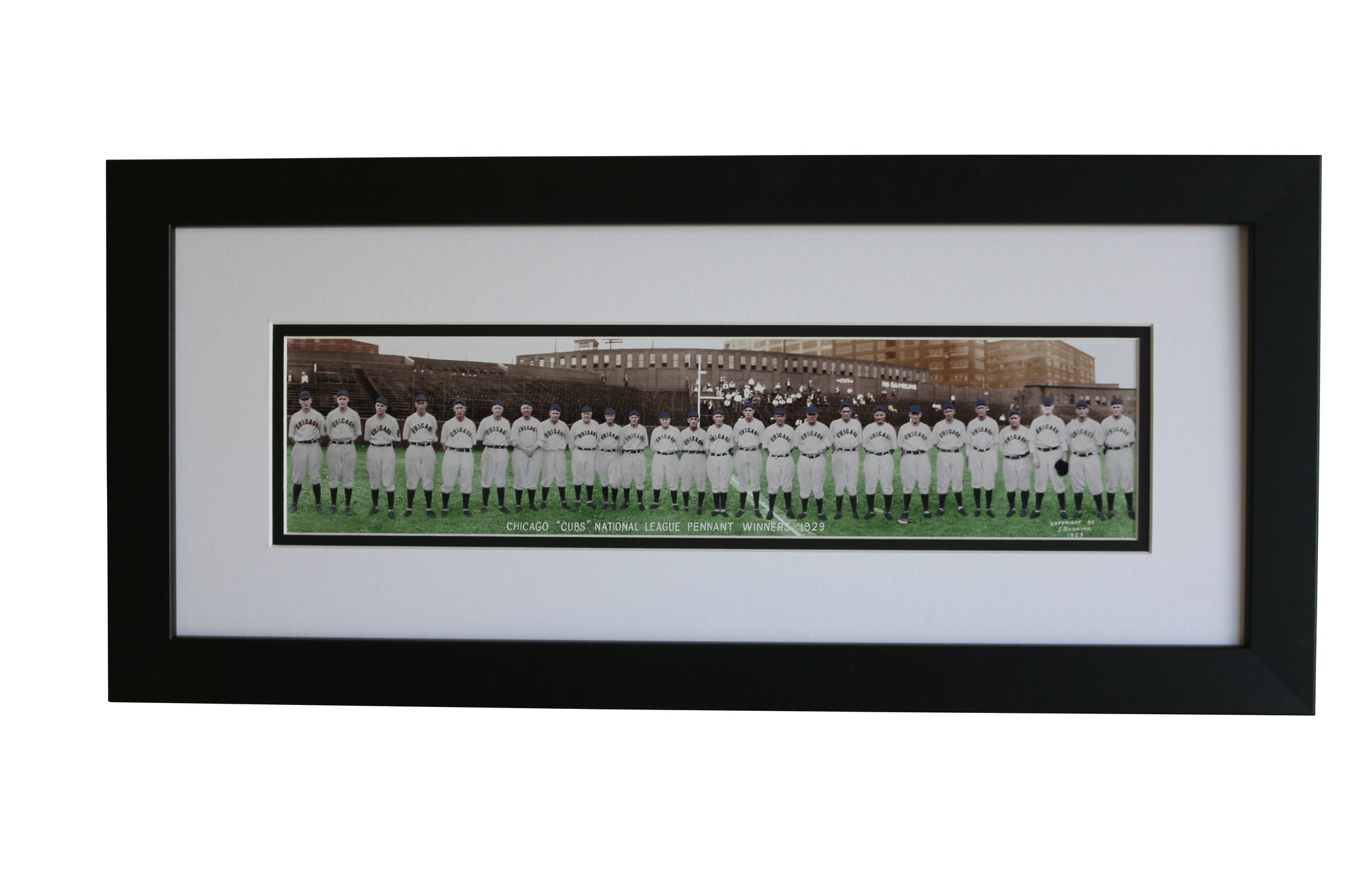 Framed 1929 Chicago Cubs Panoramic Team Print- Colorized - Graded And Framed