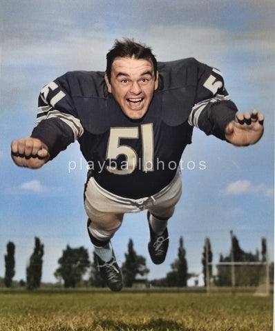 butkus10