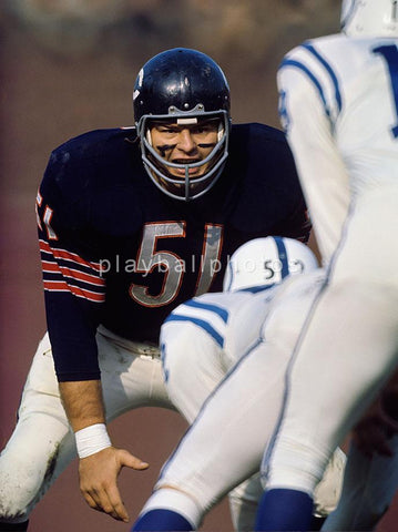 butkus2