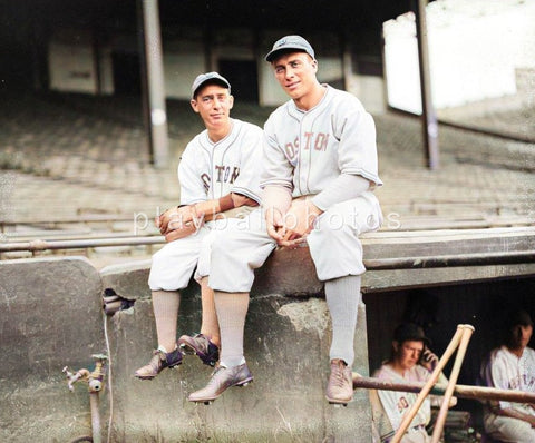 rabbit-Colorized new