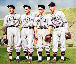 seals6-Colorized new